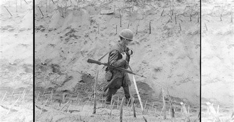 Hidden Punji Sticks of Vietnam War .